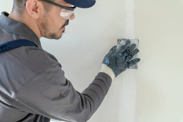 Best Water Damage & Mold Remediation  in Glen Rock, PA