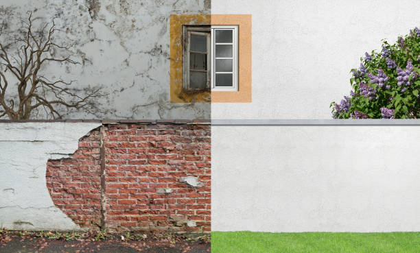 Best Emergency Mold Remediation  in Glen Rock, PA